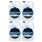 MASTER FOG GROUND CLOUDS CASE OF FOUR