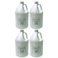 AMERICAN DJ HAZE FLUID - CASE OF FOUR